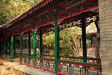 亚洲一曲区:弯道诗篇,极速韵律的东方驾驶哲学-2