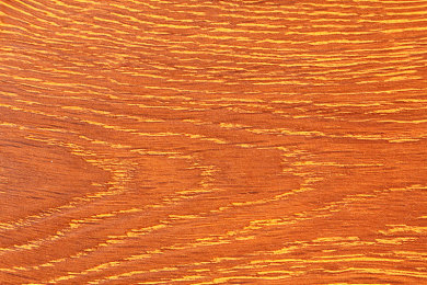 日本区一区二：极限竞速地平线，征服东京与京都的双重赛道挑战-4