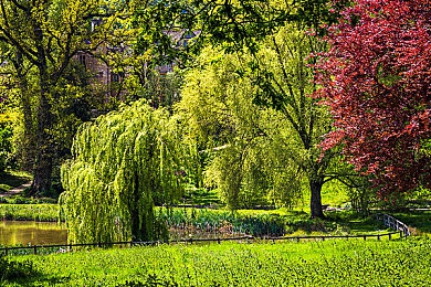 黄色vivo免费：周末极速挑战开启，顶级超跑限时免费获取攻略-4