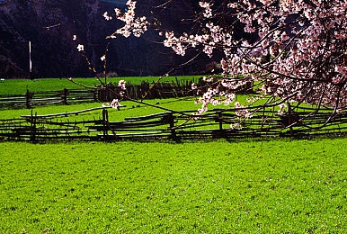 十八摸软件下载：极限竞速地平线5隐藏车辆获取攻略，合法解锁稀有内容-5