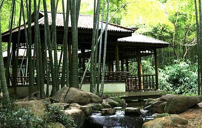 打扑克又叫又:疾驰牌局,策略轰鸣的赛道狂想曲-4