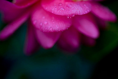 机机对机手机免费版下载安装大全2025：2025年竞速手游巅峰对决，免费体验极致改装与实时对战-5