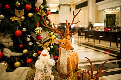 男男爆菊:《赛道狂飙:双雄争霸》今日发布深度攻略,揭秘职业联赛尾流超车核心技巧-4