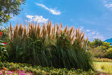 双人打扑克运动：卡牌策略与极速狂飙，智慧竞速的全新对决-5