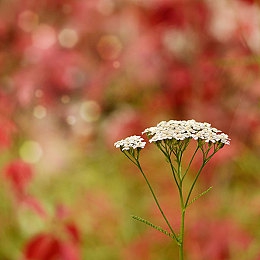 91爆料黑料成人：《极速暗影》今日上线，深挖对手档案竟成街头竞速全新战术-4