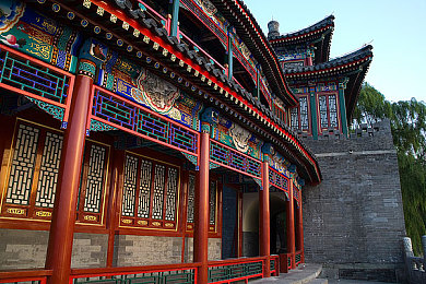 小婷被工人拖进工地后续：混凝土的回响，都市暗面调查手记-2