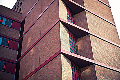 黄色软件网站oppo：街头极速改装风暴，非官方版本风险与乐趣解析-4