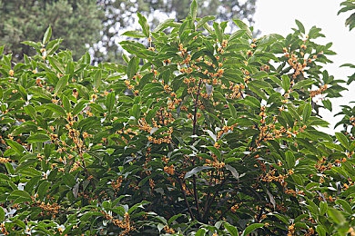 干屄应用：极致改装模拟，打造你的专属赛道猛兽-3