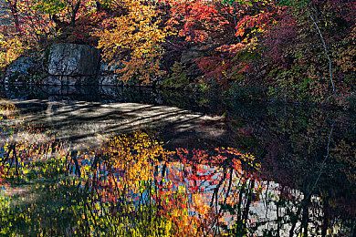 37西方美术人文艺术:当名画化身赛道,艺术史在竞速中狂飙,全新游戏今日震撼上线-5