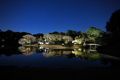 黄色软件app下载3.0.3免费 Vivo版大全装扮：街头狂飙改装大师深度评测，全攻略揭秘Vivo版独家福利-5