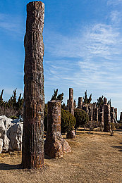 a成人影视：镜头狂飙，制片厂的极速传说-3