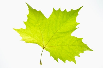 東京热APP：夜赛东京新作上线，动态天气与改装系统重塑都市飙车体验-2