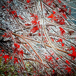 黄色软件下载网站OPPO：当游戏公平遭遇非法改装，赛车文化面临规则挑战-3