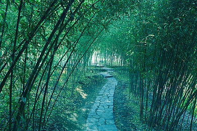 女生和男生一起差差差app：极速协奏曲上线，差异化协同竞速开启全新双人飞驰体验-3