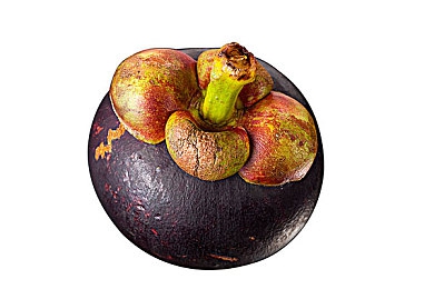 国产成人理伦：理性轴心，虚拟赛道上的策略驾驭艺术-5