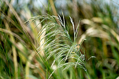 男生和女生差差差app：赛车游戏中的性别策略博弈，揭秘虚拟赛道上的驾驶风格差异-4
