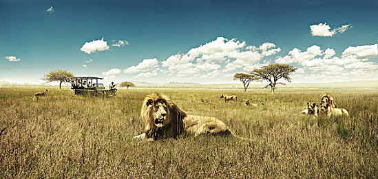 福利三区四区：探索隐藏赛道与稀有车辆，地平线系列秘籍全解析-2