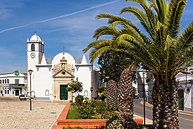 tiktok2.4.1:竞速与社交碰撞,打造你的飙车网红之路-3