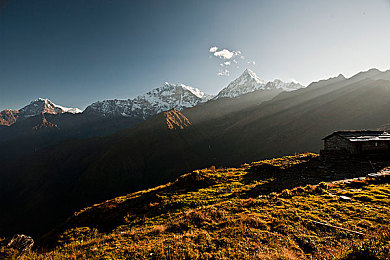 黄色软件免费下载安装3.3.0：极速狂飙全新版本上线，真实驾驶体验全面革新-3