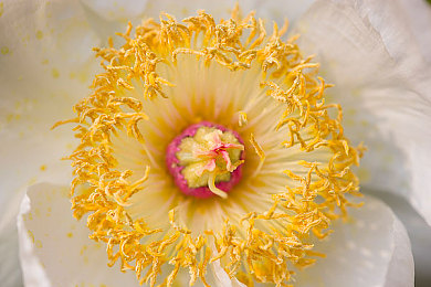 99热这里：拟真赛车新作发布，极限操控挑战你的冷静阈值-2