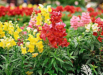 原创国产:《极速国造》今日上线,亲历中国汽车工业崛起之路-4