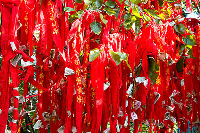 绯色TV：霓虹轮迹，记忆迷雾中的直播迷局-3