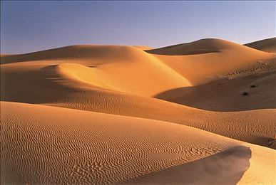 男人挺进雌性宠物ZZZ：极速幻影与钢铁猛兽的性别竞速新纪元-5