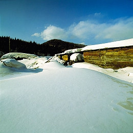 两个人打扑克剧烈运动：极速狂飙，卡牌交锋，策略与竞速的终极对决-3