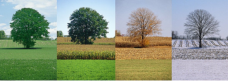 未满18岁不能看的软件：极限竞速地平线，献给成年玩家的真实驾驶盛宴-4