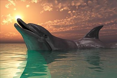 天天操天天干天天日：硬核驾驶模拟新标杆，征服极限赛道每日磨练车技-2