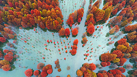 18岁禁止下载的软件：暗夜都市狂飙，道德迷雾中的终极速度抉择-3