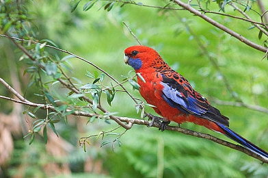 自由性别西元怎么影响女性权利：赛博废土中流动的觉醒，权利重构与抗争纪元
