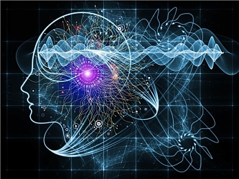 男生与女生差差差软件:赛车游戏新研究揭示性别协作优势,团队效率提升攻略全解析-4