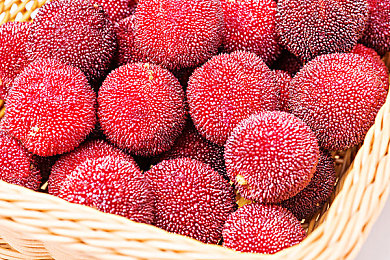 火爆社区向日葵:极限竞速地平线5,打造你的专属传奇车库-3