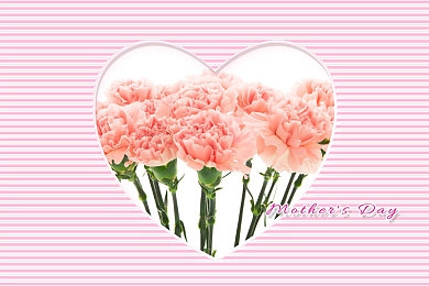 火影污漫：疾风传说，极速赛道上的忍术竞速物语-5