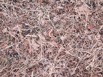 软件免费下载3.0.3:极限竞速地平线5车辆调校终极指南,三大维度轻松提升赛道表现-2