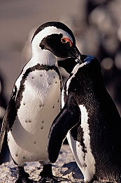 黄三色是哪三色颜色的：竞速新作今日上线，调色驱动解锁赛道终极艺术