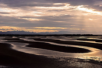 黄色应用vivo:霓虹飞驰,指尖点燃未来都市竞速盛宴-5