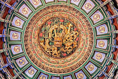 打补克痛不痛：极限车手公路战争，体验速度与策略的碰撞艺术-2