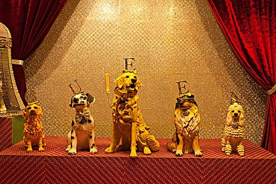 男同黄游:速度与情感交织,极速同频今日上线,开启街头赛车叙事新旅程-5