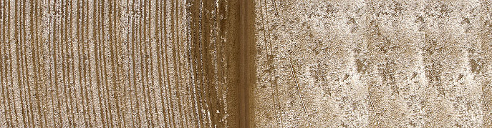 国产精品果冻传媒潘：弹性狂飙，传媒竞速的甜蜜物理奇旅-4