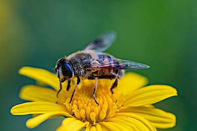 机机对机手机免费下载大全最新版安卓手机火影忍者：火影忍者竞技手游全新上线，免费实时对决点燃忍者之魂
