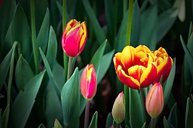 民工小伙粗大黑又硬：钢铁巨兽的泥泞征服日记-2