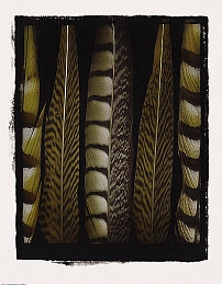 XXX台湾性精品XXX：风驰电掣，宝岛竞速之旅的极致驾驭体验-2