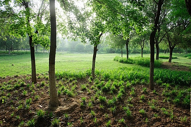 调教黄文暴力痉挛体育生：机械灵魂的工程师，赛道艺术的驯兽师-2
