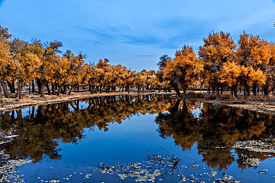 看黄色软件：幻象飞驰，在视觉迷宫中追寻速度的真实