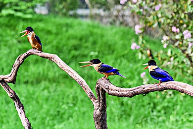打扑克又疼又叫软件下载:卡牌策略驾驭硬核模拟,创新竞速游戏引爆沉浸式体验-5
