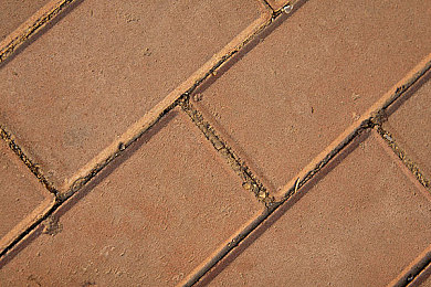 两个人看的WWW高清视频：并肩驰骋虚拟墨西哥，双人竞速共赏视觉奇观-5