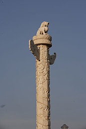 黄色欲望软件:霓虹边缘,午夜涡轮的非法极速传说-4