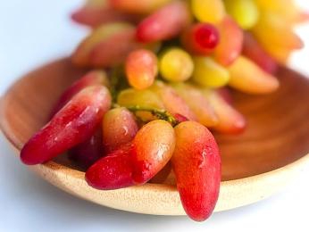 免费黄色APP：竞速新游引爆热议，硬核改装与霓虹飙车颠覆手游体验-4